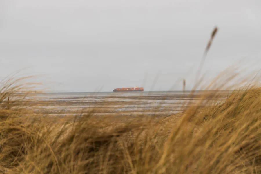 Dünengräser im Vordergrund und ein fernes Frachtschiff am Horizont