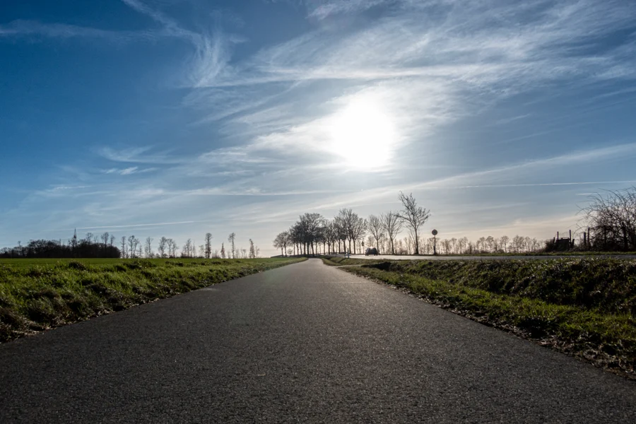 Eine ruhige Landstraße führt zwischen Feldern auf eine Baumreihe im Gegenlicht zu