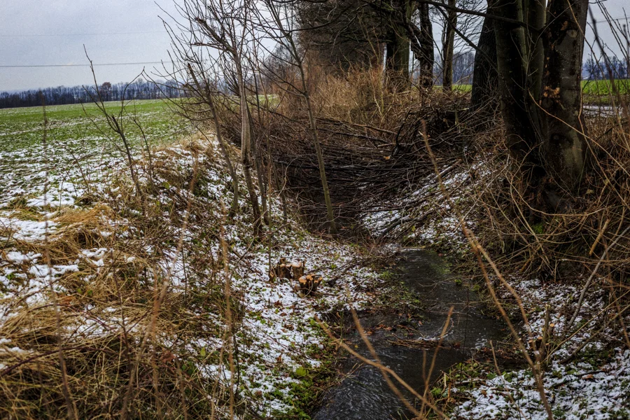 Felder und Pflanzen unter weitem Himmel