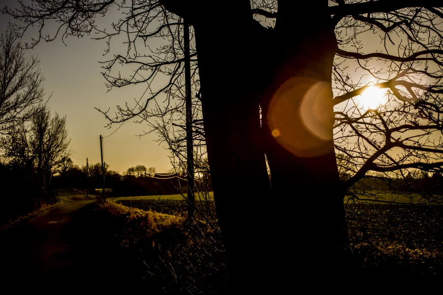 Sonnenlicht und Silhouetten im Abendhimmel
