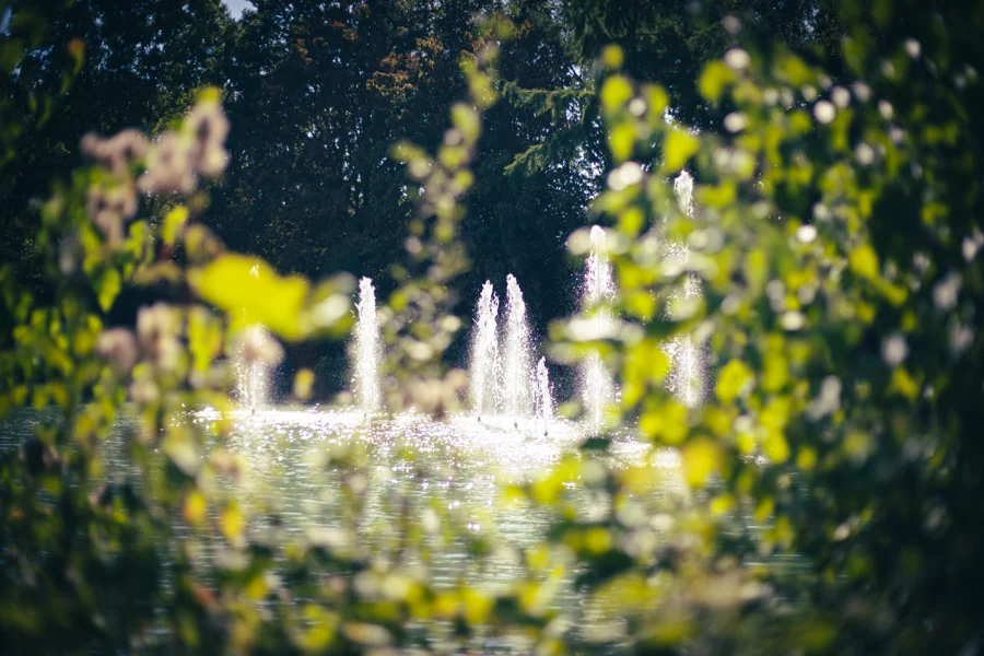Gestaltete Wasserfläche und Brunnen in einer Parkanlage