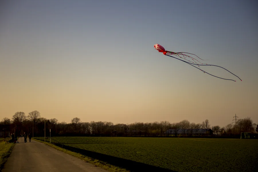 Roter Drachen über einem Feldweg und weitem Horizont